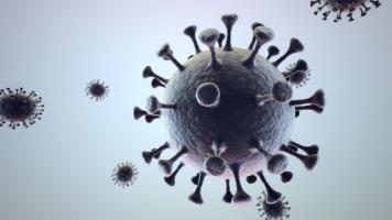 Bulos sobre el Coronavirus