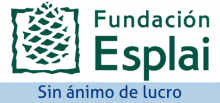 Fundación Esplai (nacional): Fundación acción social, educación y tiempo libre